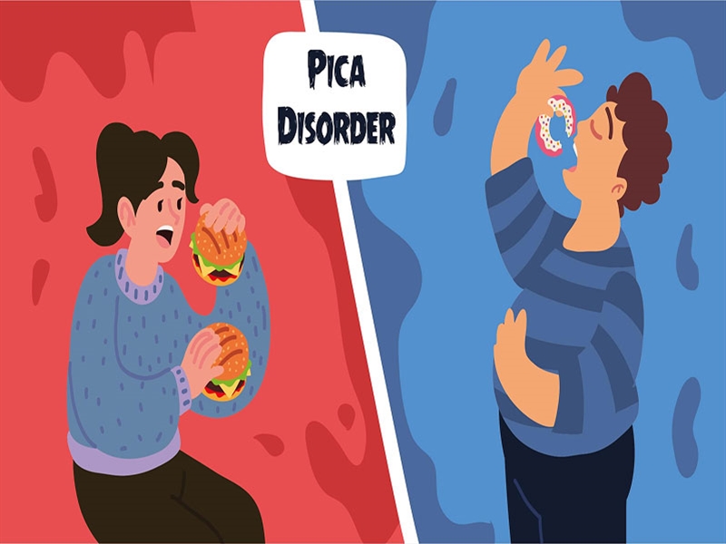 اختلال پیکا (هرزه خواری) چیست؟